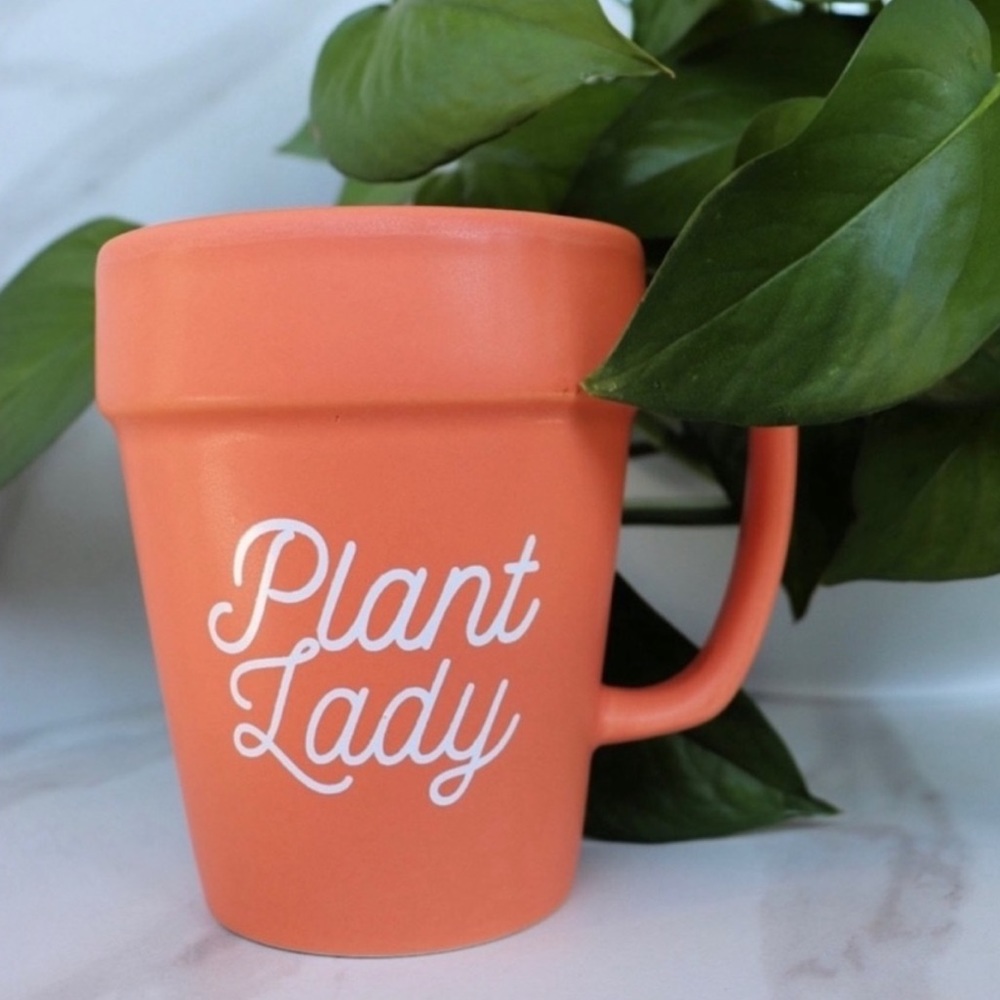 Terracotta Mug